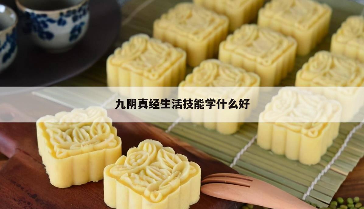 九阴真经生活技能学什么好