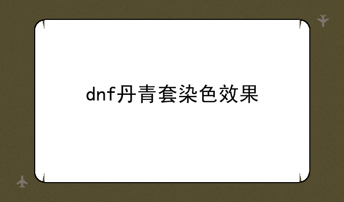 dnf丹青套染色效果