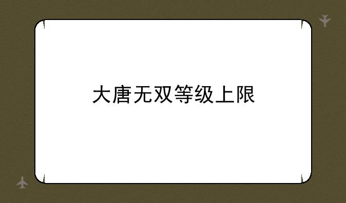 大唐无双等级上限