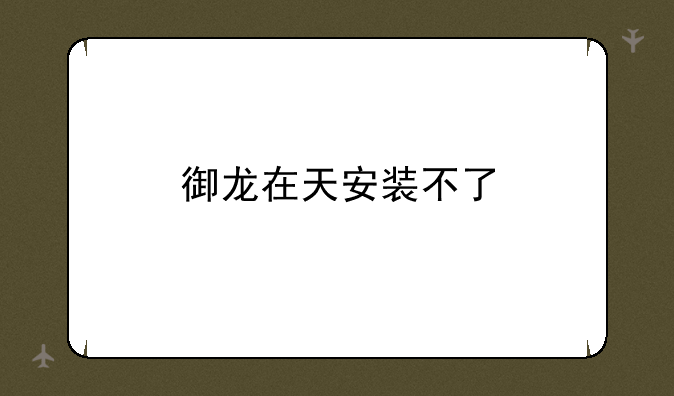 御龙在天安装不了