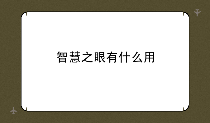 智慧之眼有什么用