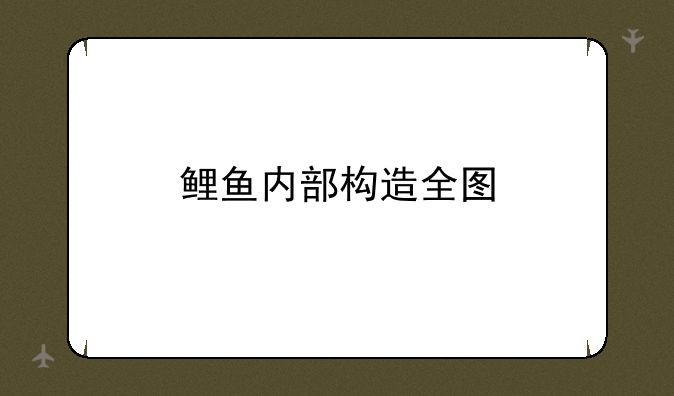 鲤鱼内部构造全图