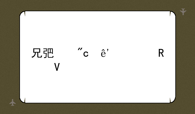 兄弟战争全攻略