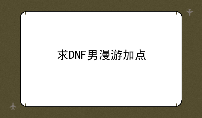 求DNF男漫游加点