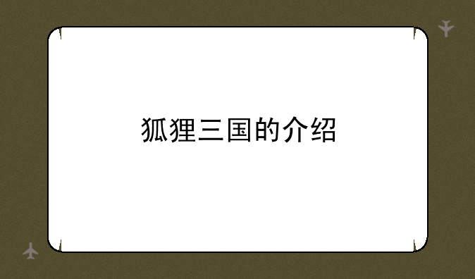 狐狸三国的介绍