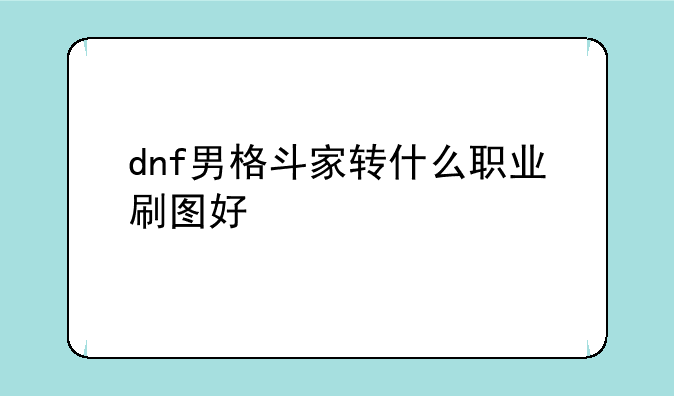 dnf男格斗家转什么职业刷图好