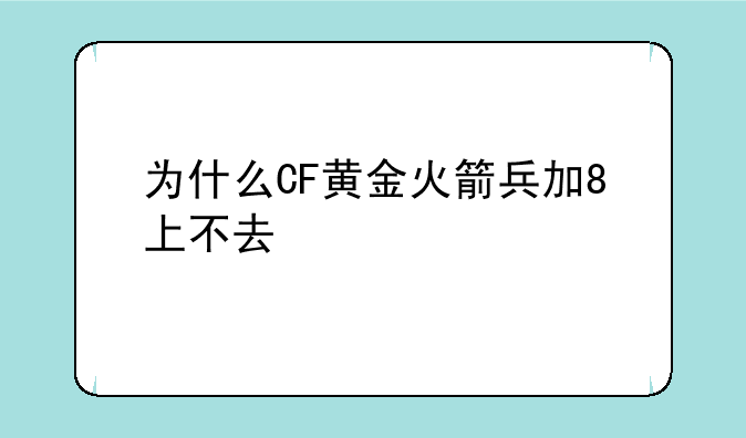 为什么CF黄金火箭兵加8上不去
