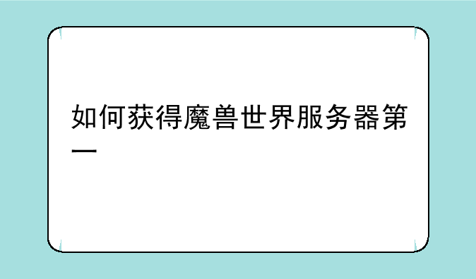 如何获得魔兽世界服务器第一