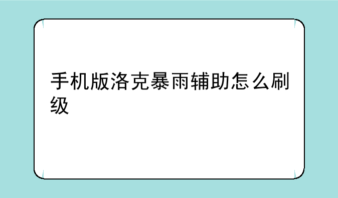 手机版洛克暴雨辅助怎么刷级