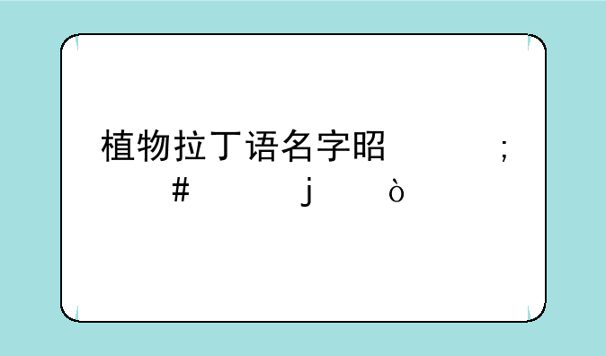 植物拉丁语名字是怎么样的？