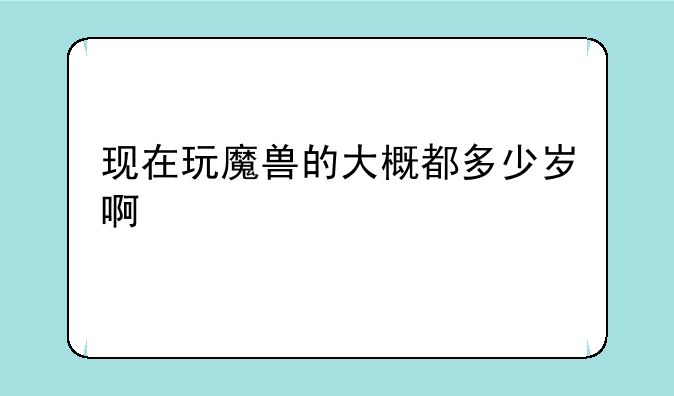 现在玩魔兽的大概都多少岁啊