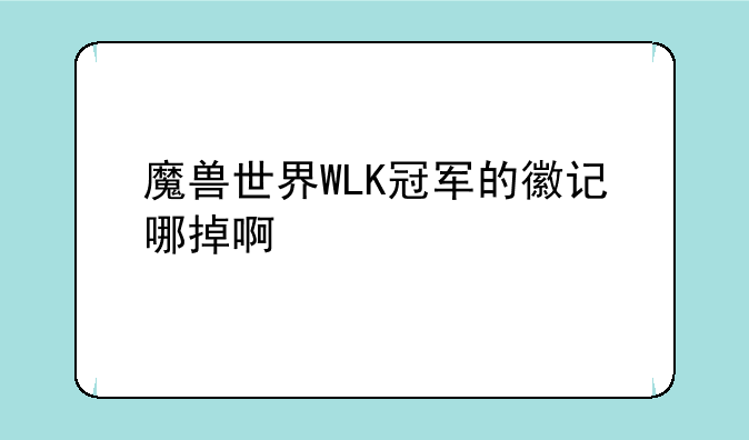 魔兽世界WLK冠军的徽记哪掉啊