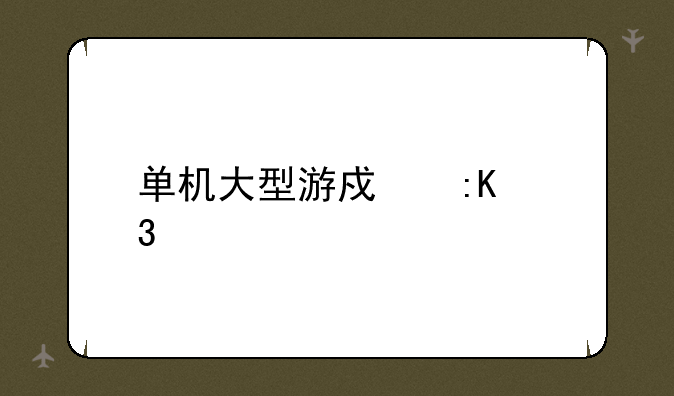 单机大型游戏排行榜