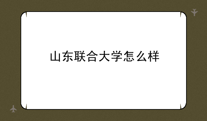 山东联合大学怎么样