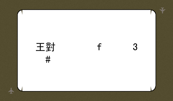 王小贱百里守约出装