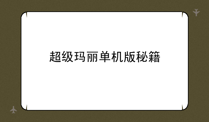 超级玛丽单机版秘籍