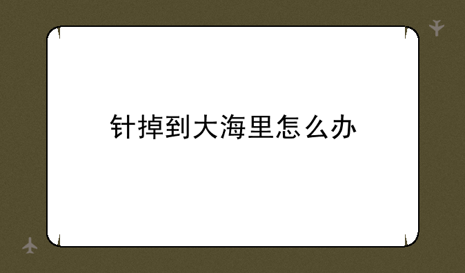 针掉到大海里怎么办