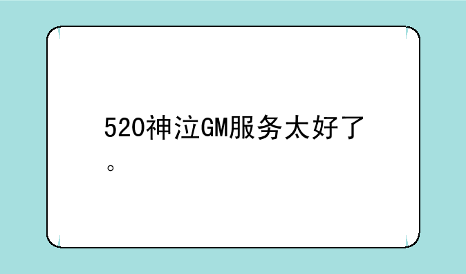 520神泣GM服务太好了。