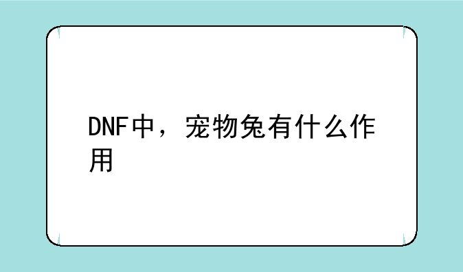 DNF中，宠物兔有什么作用