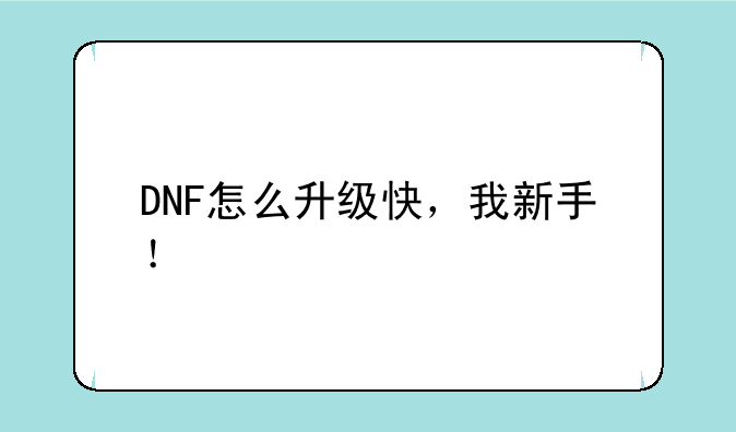 DNF怎么升级快，我新手！