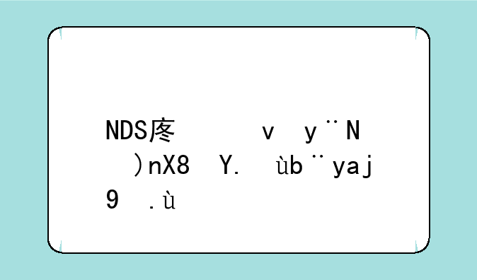 NDS废墟的肖像任务全攻略