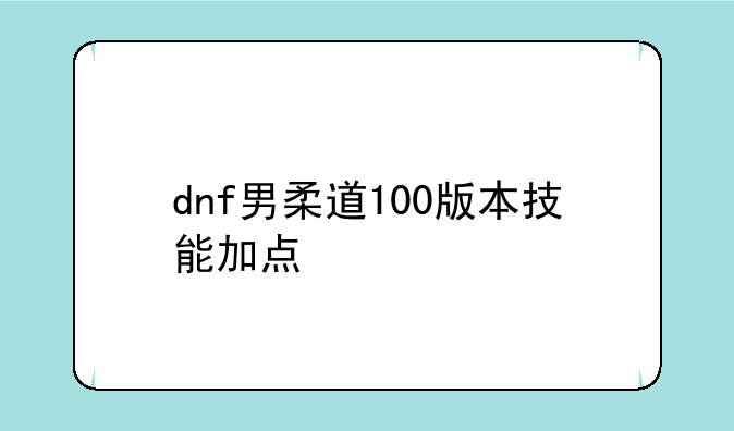 dnf男柔道100版本技能加点