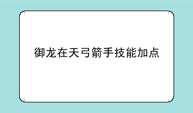 御龙在天弓箭手技能加点