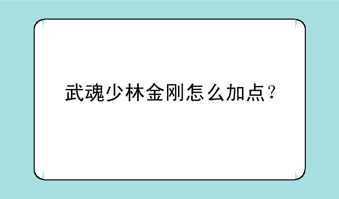 武魂少林金刚怎么加点？