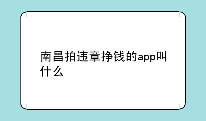 南昌拍违章挣钱的app叫什么
