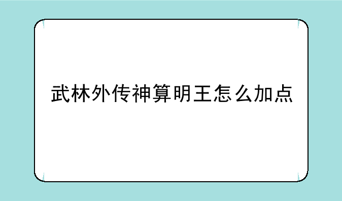 武林外传神算明王怎么加点