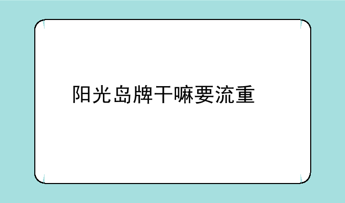 阳光岛牌干嘛要流量打不了——舞蹈工作总结