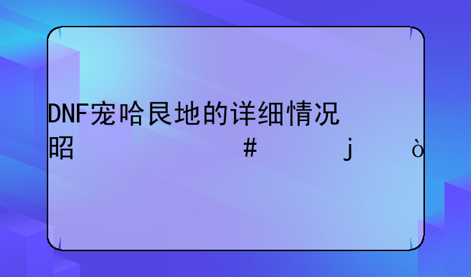 DNF宠哈艮地的详细情况是什么样的？