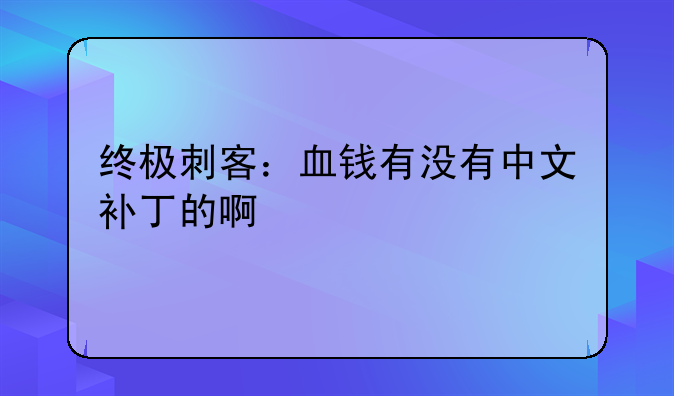 终极刺客：血钱有没有中文补丁的啊