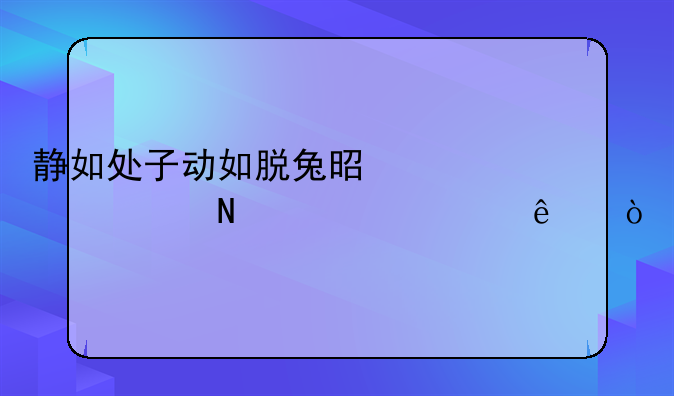 静如处子动如脱兔是形容哪一类人？