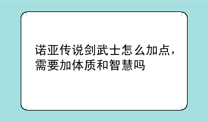 诺亚传说剑武士怎么加点，需要加体质和智慧吗