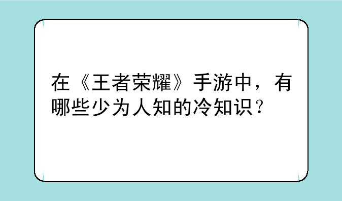 在《王者荣耀》手游中，有哪些少为人知的冷知识？