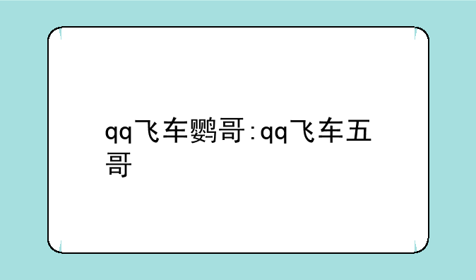 qq飞车鹦哥:qq飞车五哥
