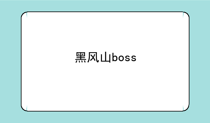 黑风山boss