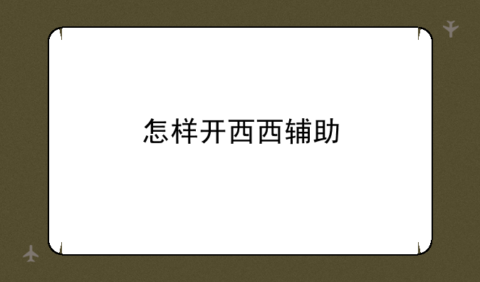 怎样开西西辅助